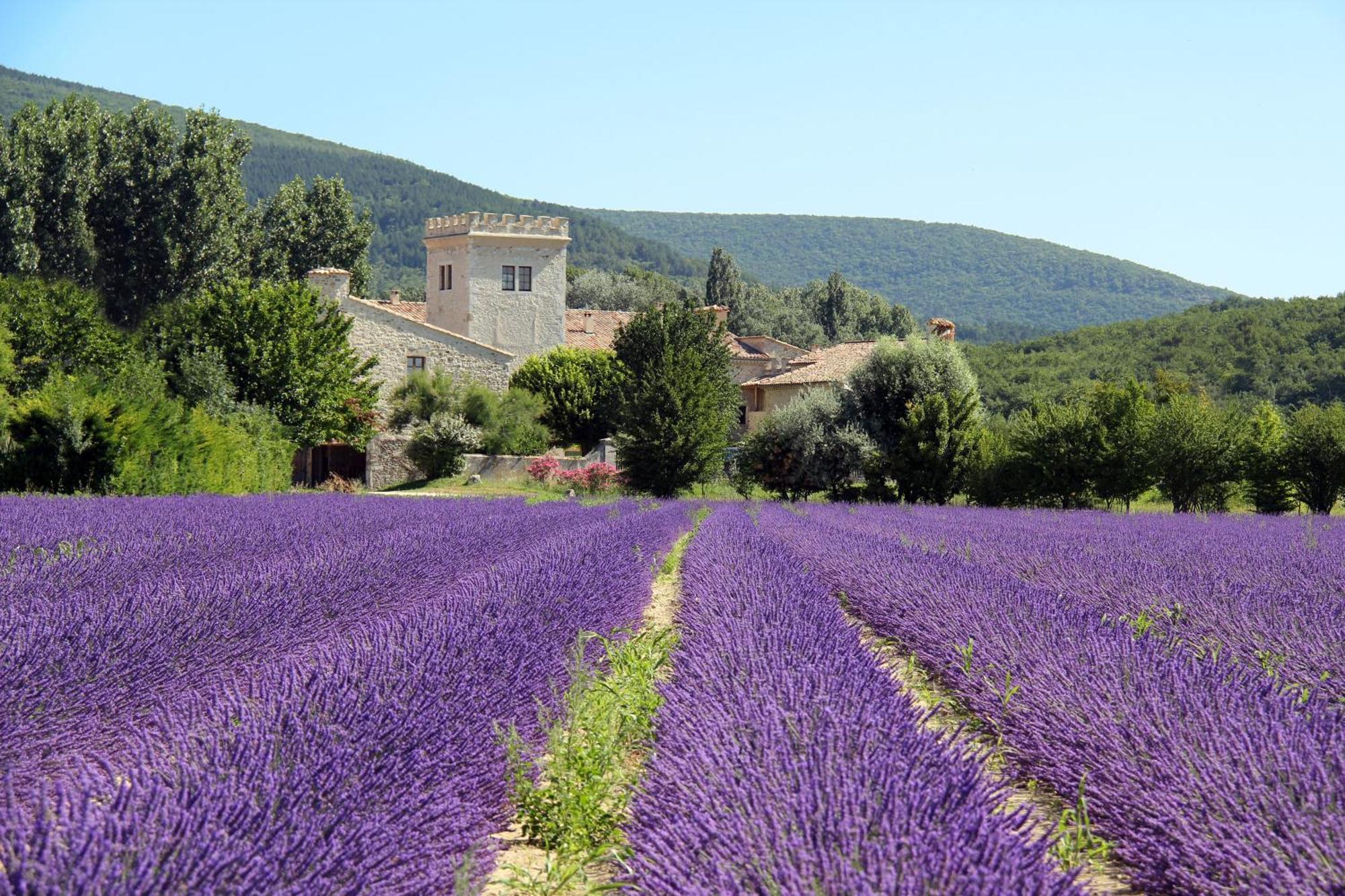 La Colombiere - Vue Imprenable Sur L'Ardeche - Tres Calme - Tres Bien Situe - Residence Privee Montélimar מראה חיצוני תמונה